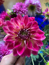 Load image into Gallery viewer, Temple of Beauty