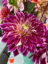 Load image into Gallery viewer, Temple of Beauty