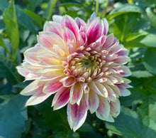 Load image into Gallery viewer, Temple of Beauty