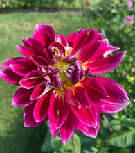 Load image into Gallery viewer, Temple of Beauty