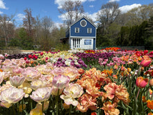 Load image into Gallery viewer, Petals with Purpose Fundraiser
