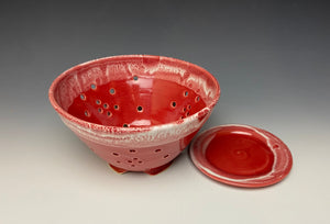 Bright Red Berry Bowl #2