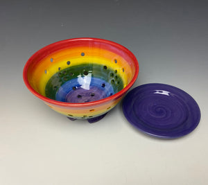 Rainbow Berry Bowl