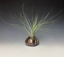 Load image into Gallery viewer, Rainbow Copper Raku AirPlant Vase #2
