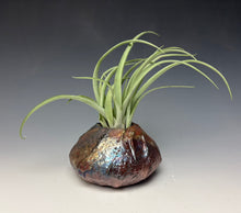 Load image into Gallery viewer, Rainbow Copper Raku AirPlant Vase #3
