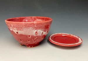 Bright Red Berry Bowl #1