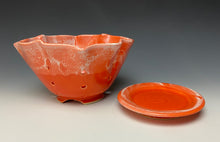 Load image into Gallery viewer, Intense Orange Lotus Berry Bowl #2
