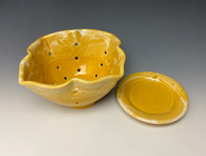 Sunshine Yellow Lotus Berry Bowl