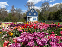 Load image into Gallery viewer, Petals with Purpose Fundraiser
