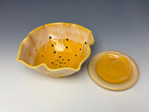 Sunshine Yellow Lotus Berry Bowl #2