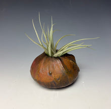 Load image into Gallery viewer, Satin Copper Raku Mini AirPlant Vase #9
