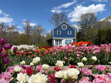 Load image into Gallery viewer, Petals with Purpose Fundraiser
