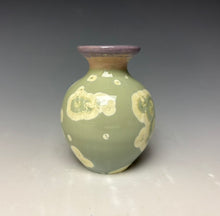 Load image into Gallery viewer, Crystalline Mini Vase- Unicorn #6
