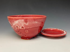 Bright Red Berry Bowl #1