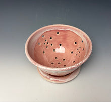 Load image into Gallery viewer, Alpine Rose Berry Bowl #3
