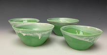 Load image into Gallery viewer, Mini Dish- Bermuda Green
