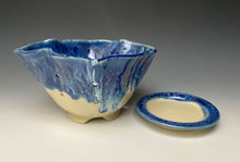 Load image into Gallery viewer, Breakwater Blue Lotus Berry Bowl #2
