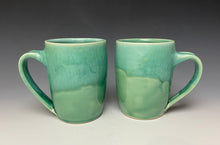 Load image into Gallery viewer, Everyday Mug- Seafoam Green
