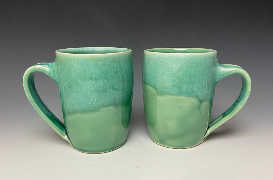 Everyday Mug- Seafoam Green