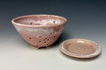 Load image into Gallery viewer, Alpine Rose Berry Bowl
