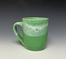 Load image into Gallery viewer, Bermuda Green Everyday Mug
