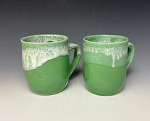 Load image into Gallery viewer, Bermuda Green Everyday Mug
