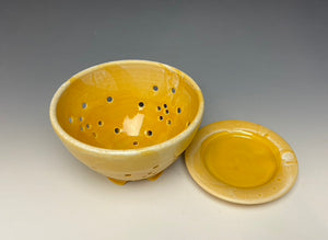 Sunshine Yellow Berry Bowl #2