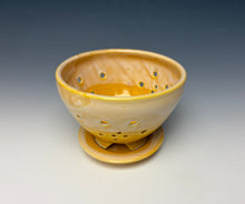 Load image into Gallery viewer, Sunshine Yellow Berry Bowl
