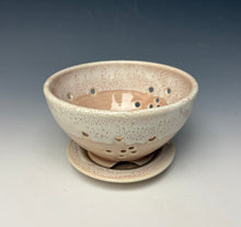 Load image into Gallery viewer, Alpine Rose Berry Bowl
