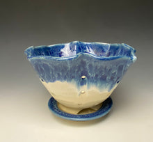 Load image into Gallery viewer, Breakwater Blue Lotus Berry Bowl #2
