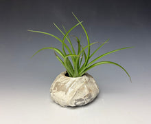 Load image into Gallery viewer, White Crackle Raku Textured Air Plant Vase #7
