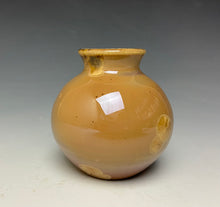 Load image into Gallery viewer, Iced Caramel Crystalline Glazed Mini Vase
