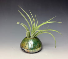 Load image into Gallery viewer, Copper Green Mini Raku AirPlant Vase #5
