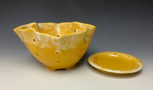 Sunshine Yellow Lotus Berry Bowl