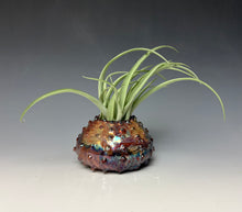 Load image into Gallery viewer, Rainbow Copper Raku Mini Urchin AirPlant Vase #10
