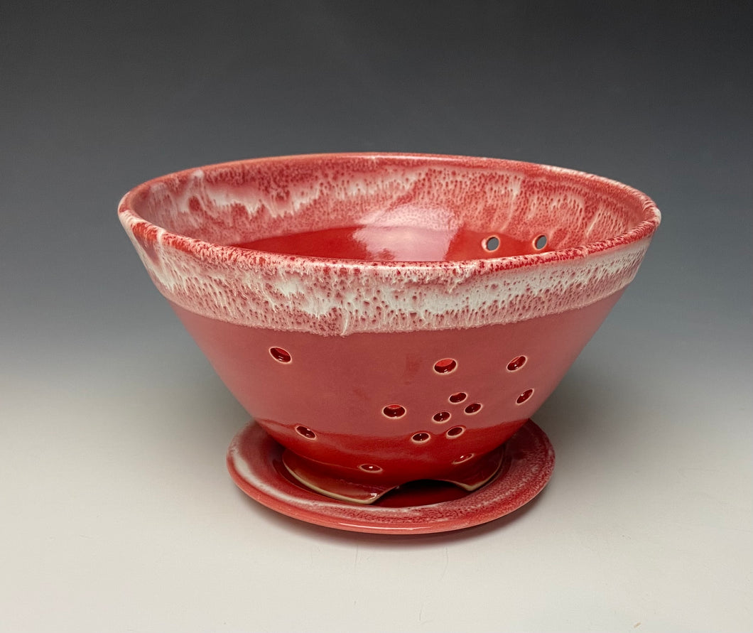 Bright Red Berry Bowl #2