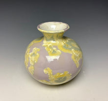Load image into Gallery viewer, Crystalline Mini Vase- Unicorn #8
