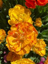 Load image into Gallery viewer, Gudoshnik Double
