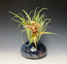 Load image into Gallery viewer, Blue Copper Raku AirPlant Vase #6
