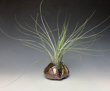 Load image into Gallery viewer, Rainbow Copper Raku AirPlant Vase #2
