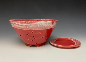 Bright Red Berry Bowl #2