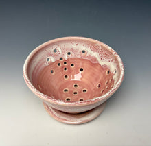 Load image into Gallery viewer, Alpine Rose Berry Bowl
