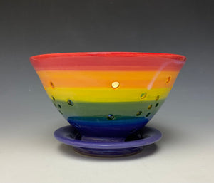 Rainbow Berry Bowl