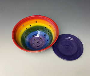 Rainbow Berry Bowl