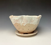 Load image into Gallery viewer, Alpine Rose Lotus Berry Bowl
