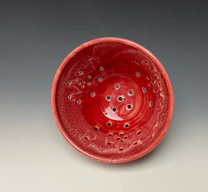 Bright Red Berry Bowl #1