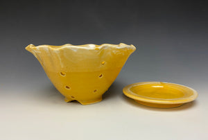 Sunshine Yellow Lotus Berry Bowl #3