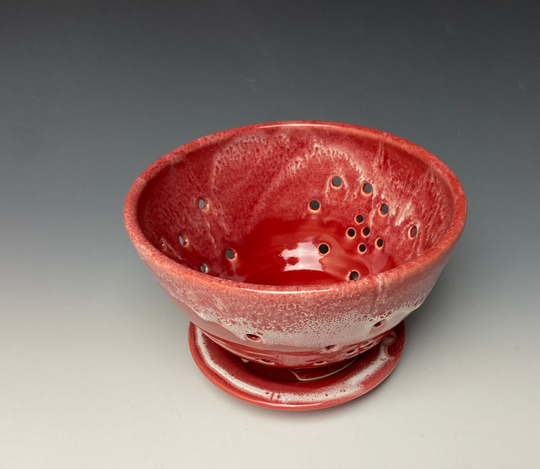 Bright Red Berry Bowl #1