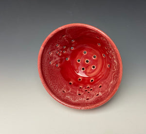 Bright Red Berry Bowl #1