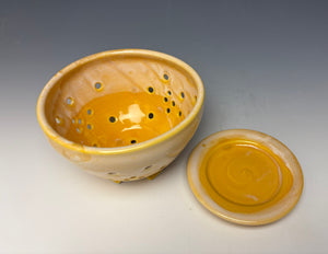 Sunshine Yellow Berry Bowl